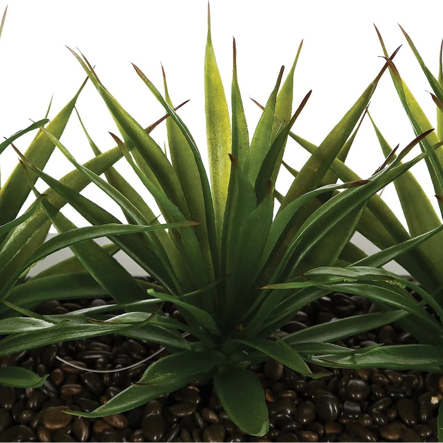 Centro De Mesa - 3 Aloe Vera - Altura 17 Cm_3