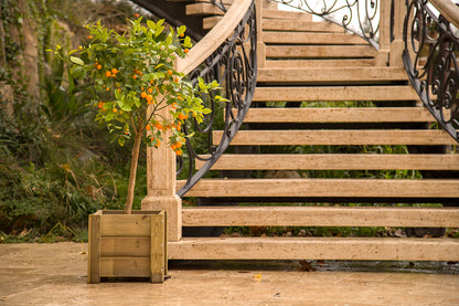 Macetero Elche Cuadrado De Madera Tratada Autoclave Riesgo Iv De 60 X 60 X 52 Cm 105l Para Exterior.._5