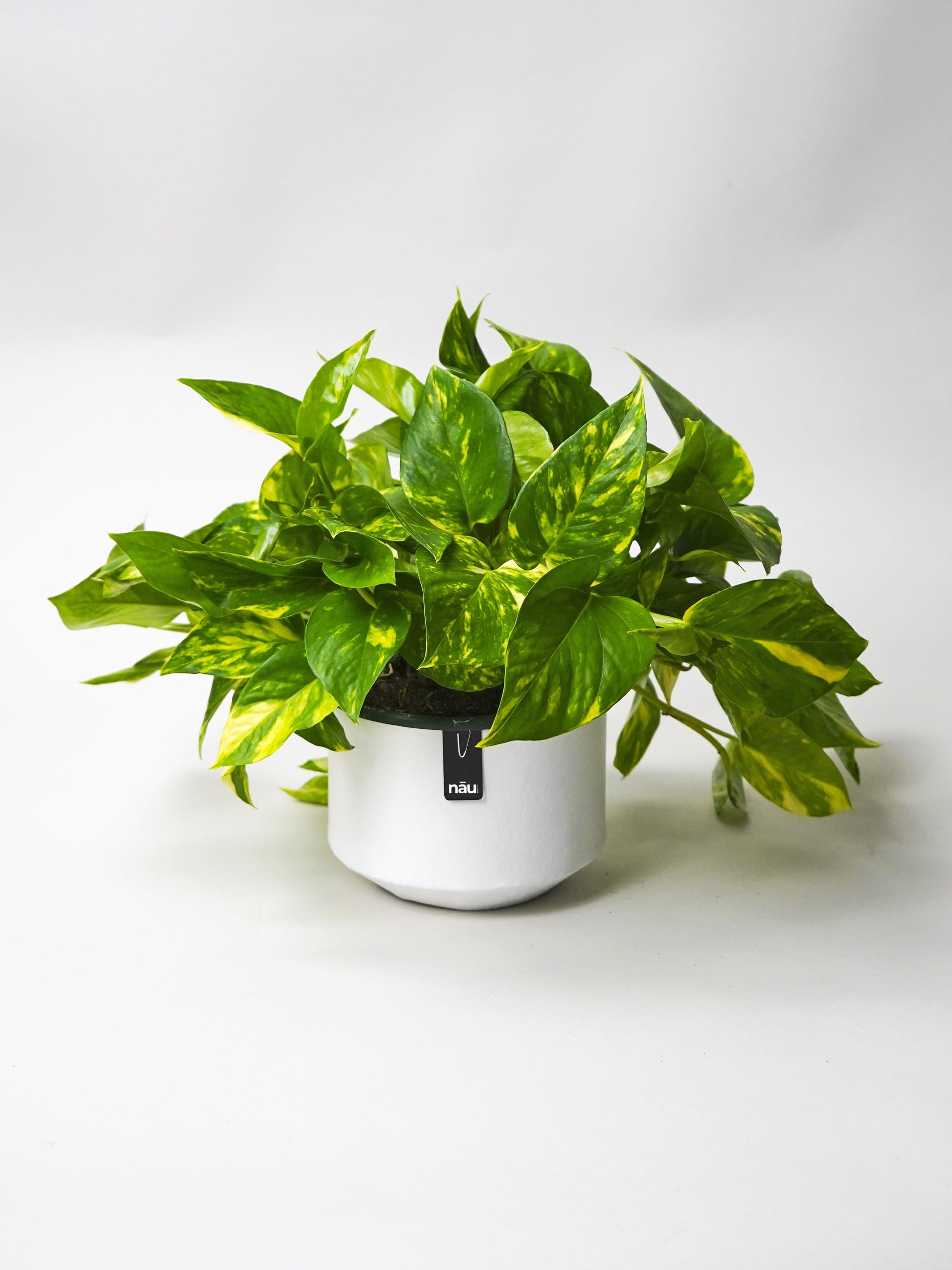 Macetero Ecológico Y Sostenible Alba