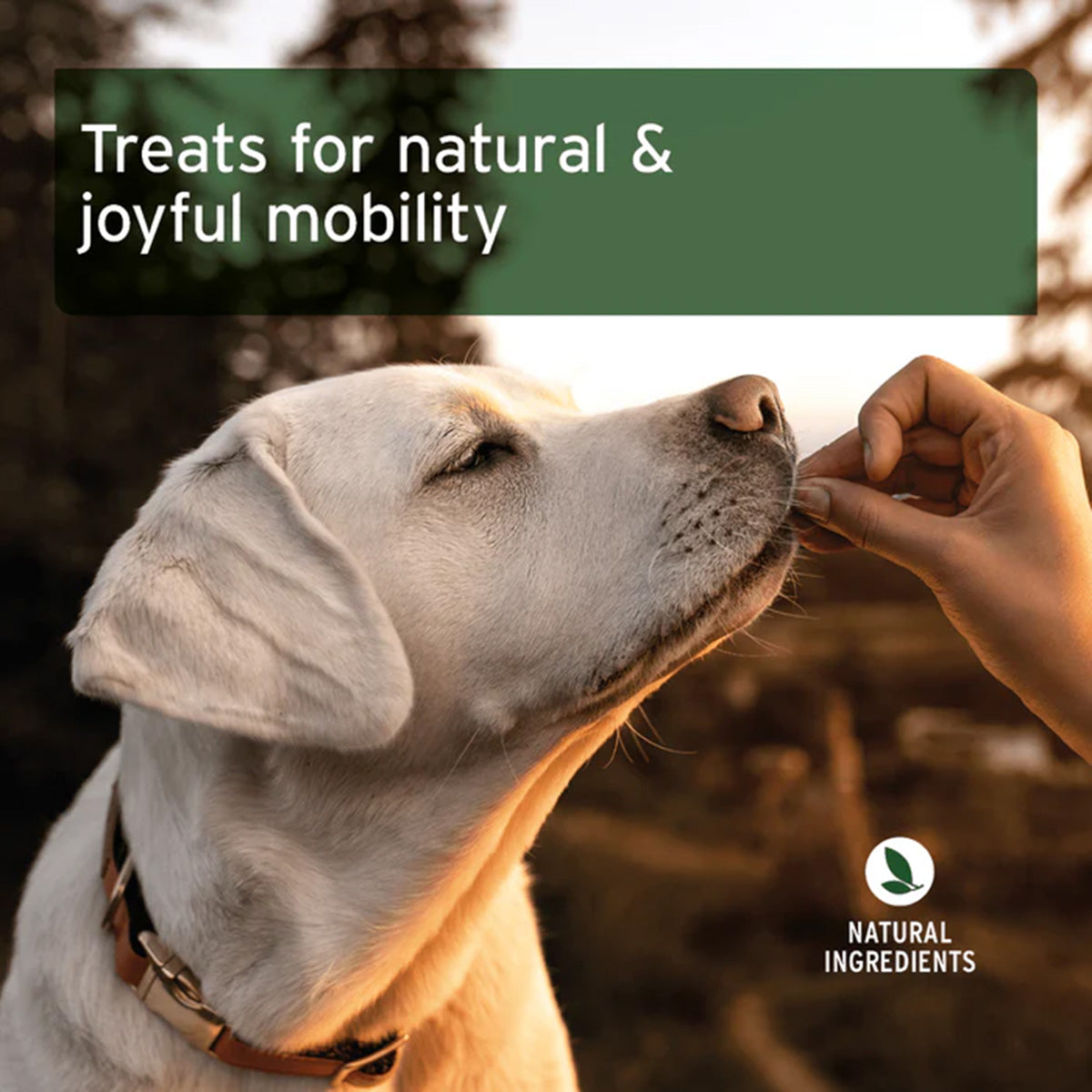 Snack Articular para perros AniForte 50 g