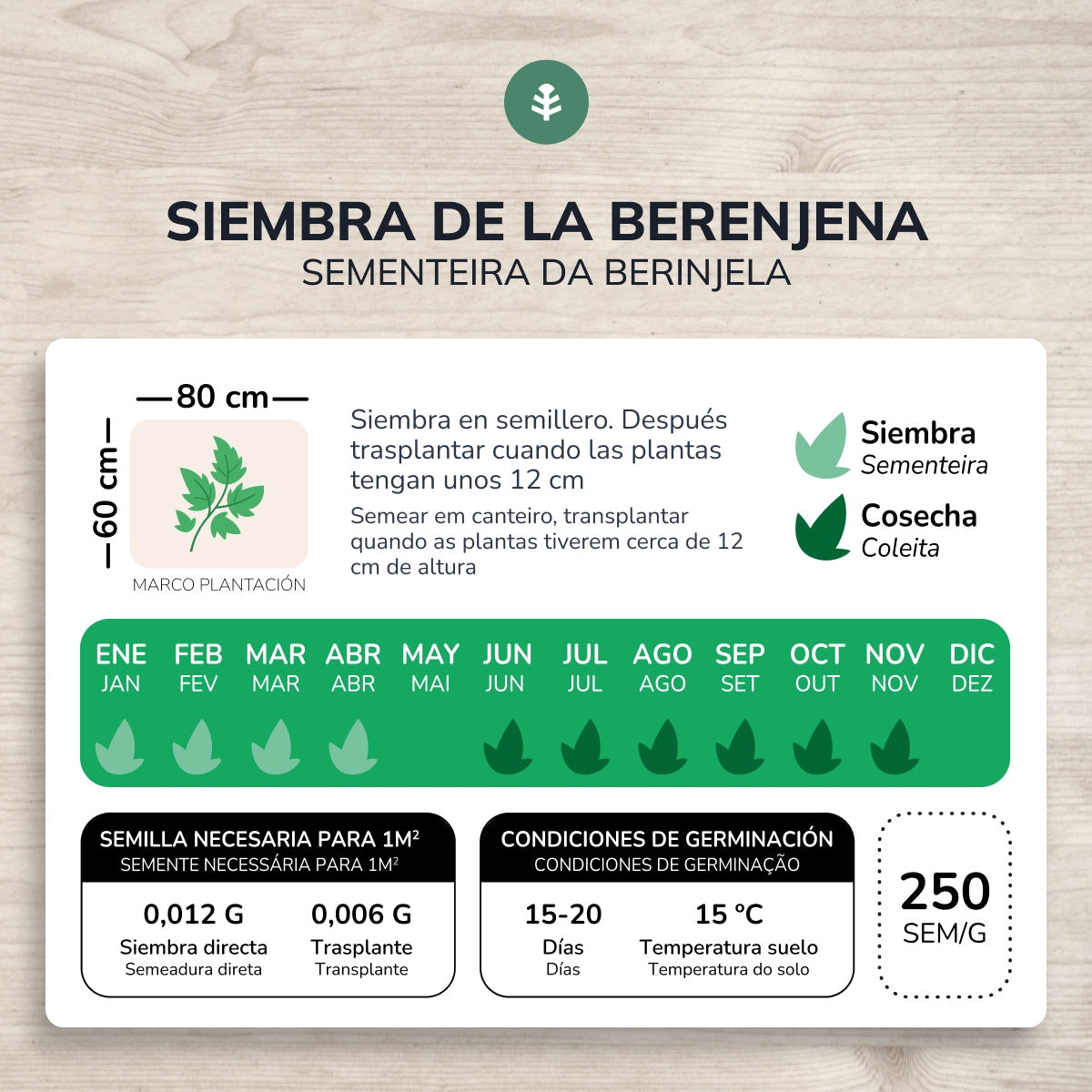 Semillas de Berenjena larga morada ecológicas Planeta Huerto