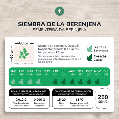 Semillas de Berenjena larga morada ecológicas Planeta Huerto