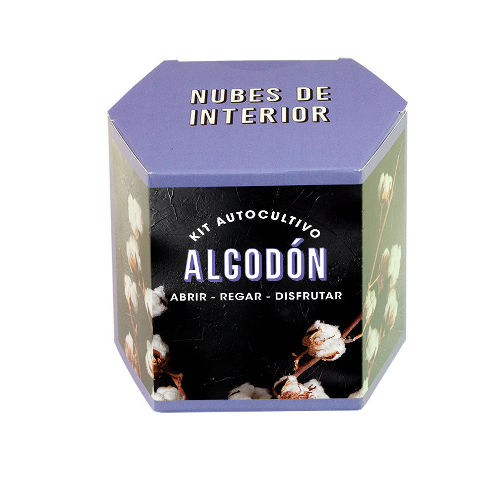 Kit Autocultivo de Algodón Cultiva tu Propia Planta en Casa | Regalo Original y Decorativo - Resetea_0