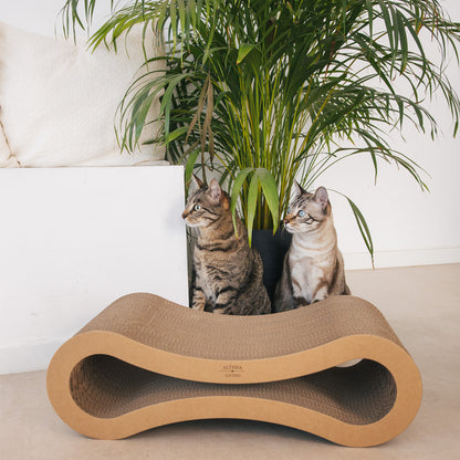 Rascador Para Gatos Con Forma De Infinito