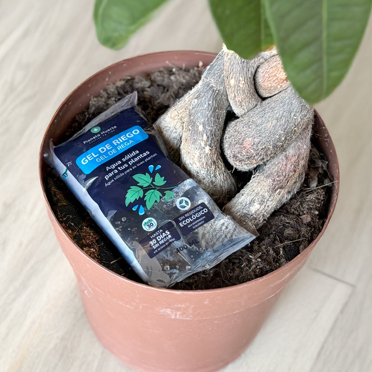 Pack 24 x Gel de Riego Planeta Huerto 400 ml