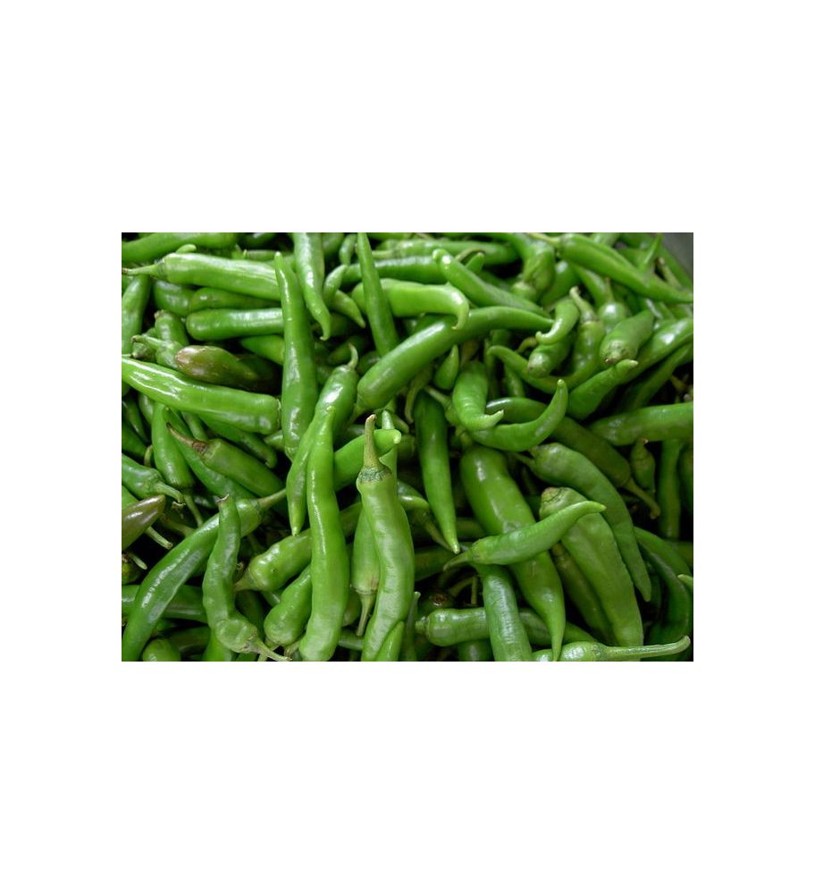 Plantón Pimiento Picante Verde (10 Unidades)_0