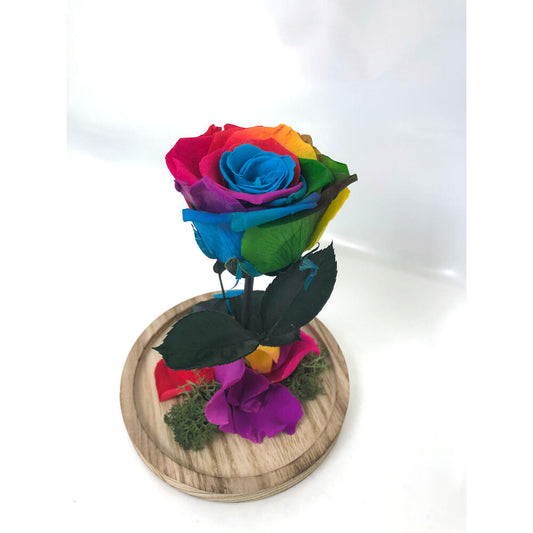 Mundo Eterno Rosa En Cúpula Multicolor 12x20cm_0