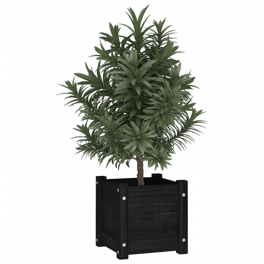 Jardineras 2 Uds Madera Maciza De Pino Negra 31x31x31 Cm_2