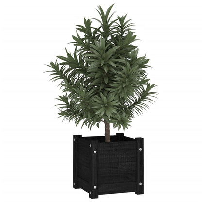 Jardineras 2 Uds Madera Maciza De Pino Negra 31x31x31 Cm_2