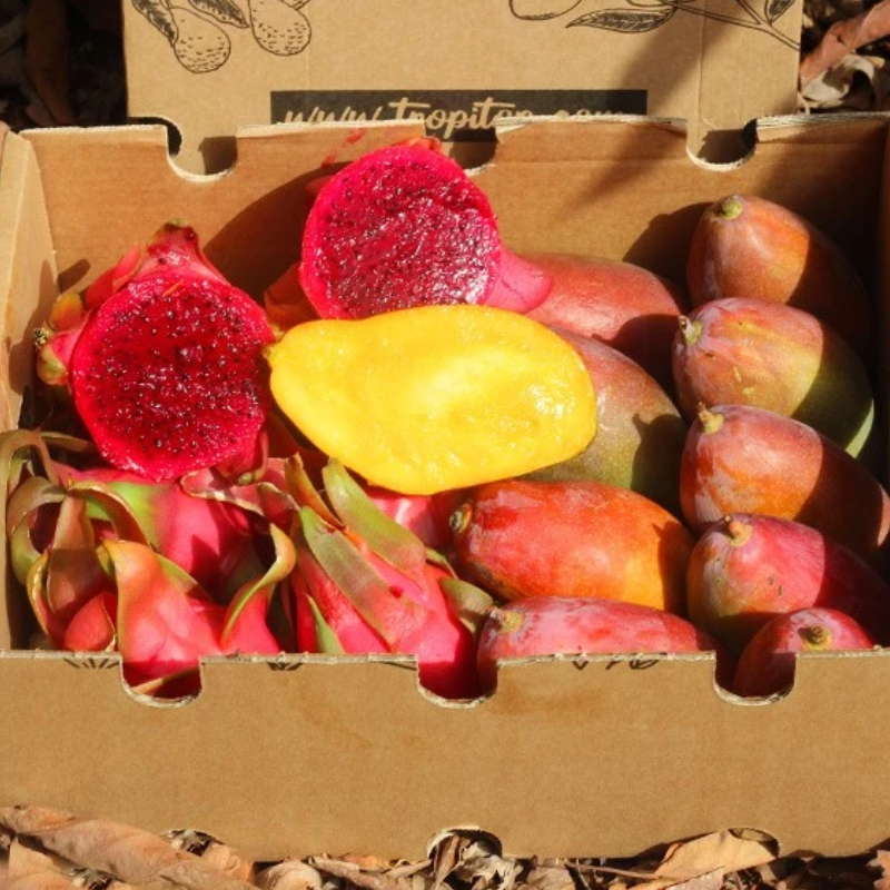Mix Mangos Y Pitahaya Rosa - Caja De 4kg (2kg De Cada)_3