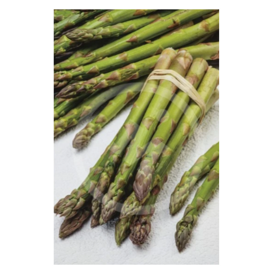 Semillas Espárrago Argenteuil_0