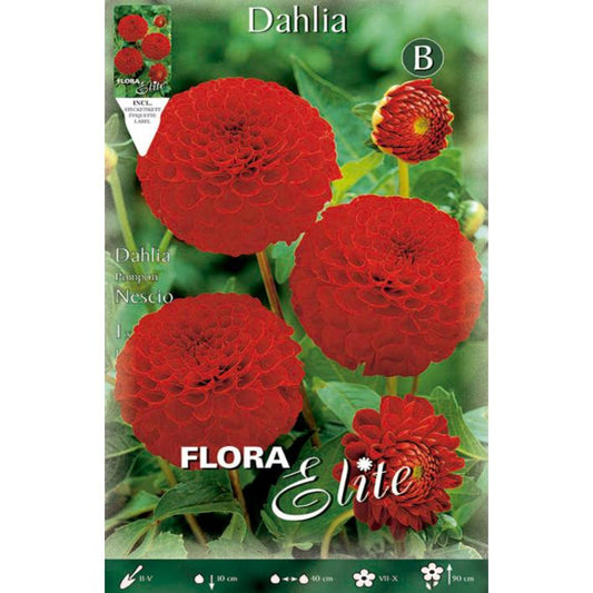 Bulbo Dalia Pom Pom roja 1 ud