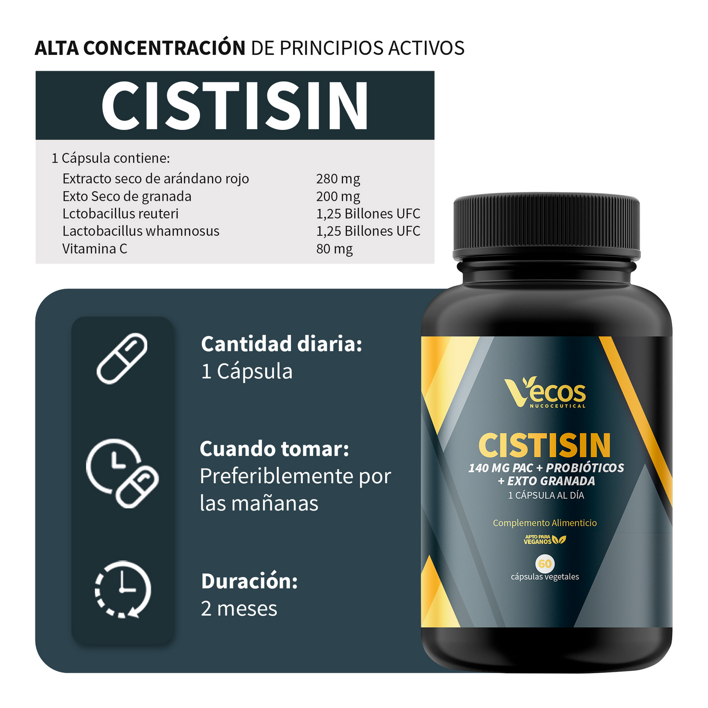 Cistisin Vecos 60 Cápsulas | Salud Urinaria Y Prevención De Infecciones | Arándano Rojo Y Probióticos_2