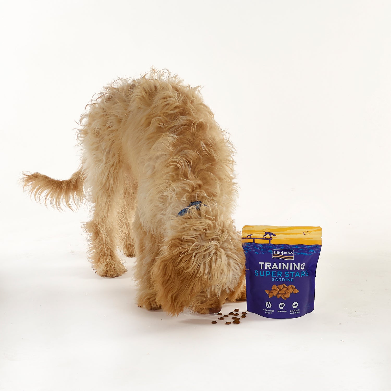 Fish4dogs Snack De Entrenamiento – Superstars Sardina 150 G (pack De 10)_2