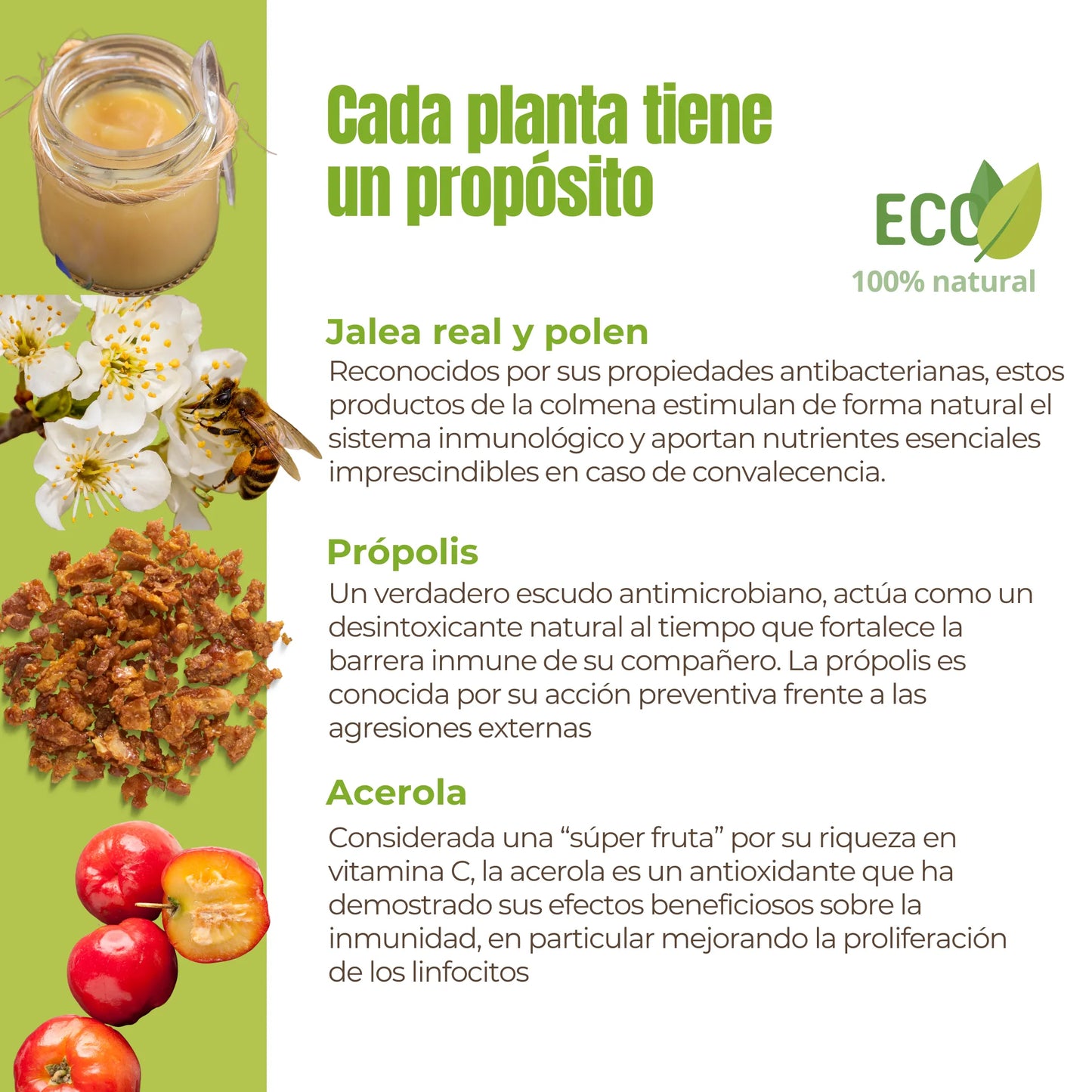 Suplemento natural para las defensas y la vitalidad de perros y gatos – ECO 100 g_2