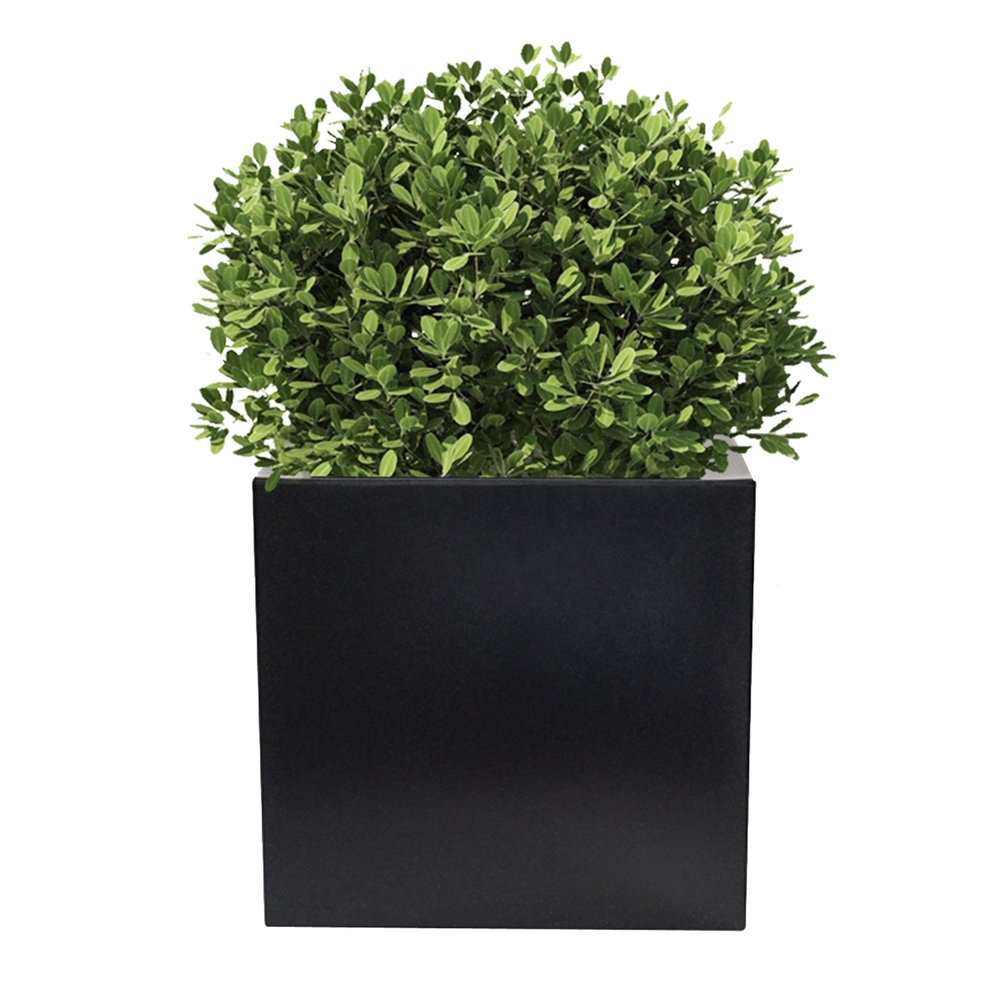 Macetero De Polietileno Antracita 50x50 Cm_2