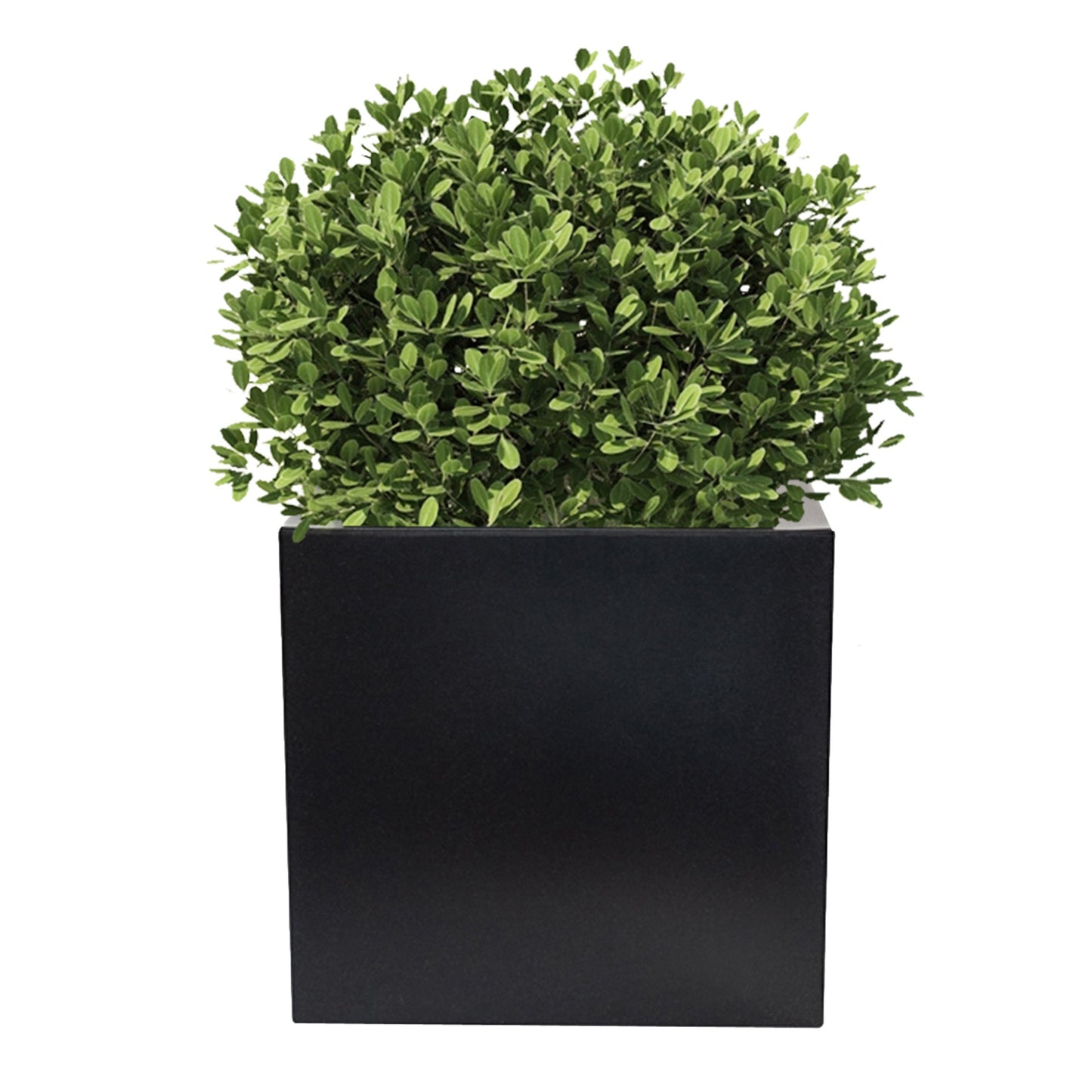 Macetero De Polietileno Antracita 50x50 Cm_2