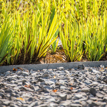 Bordillo Ecolat 100% Plástico Reciclado (rollo 20mx7mmx14cm)._1