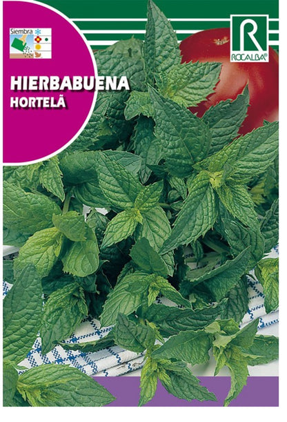 Semillas Hierbabuena 0,2g_0
