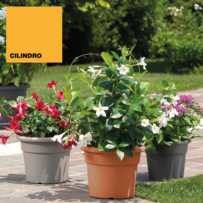 Maceta Cilíndrica Ø 22 Cm Gris_1