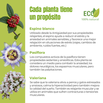 Suplemento natural para perros y gatos – Fórmula Serenidad ECO 100 g