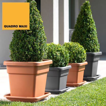 Platillo Para Maceta Maxi 38 Cm Terracota_1