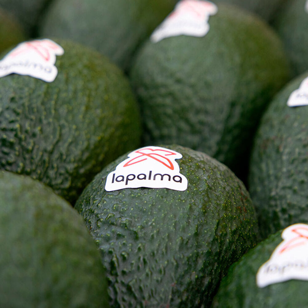 Aguacate Lamb Hass 4kg_3