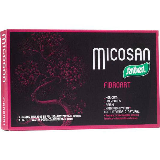 Micosan Fibroart Santiveri 40 caps.