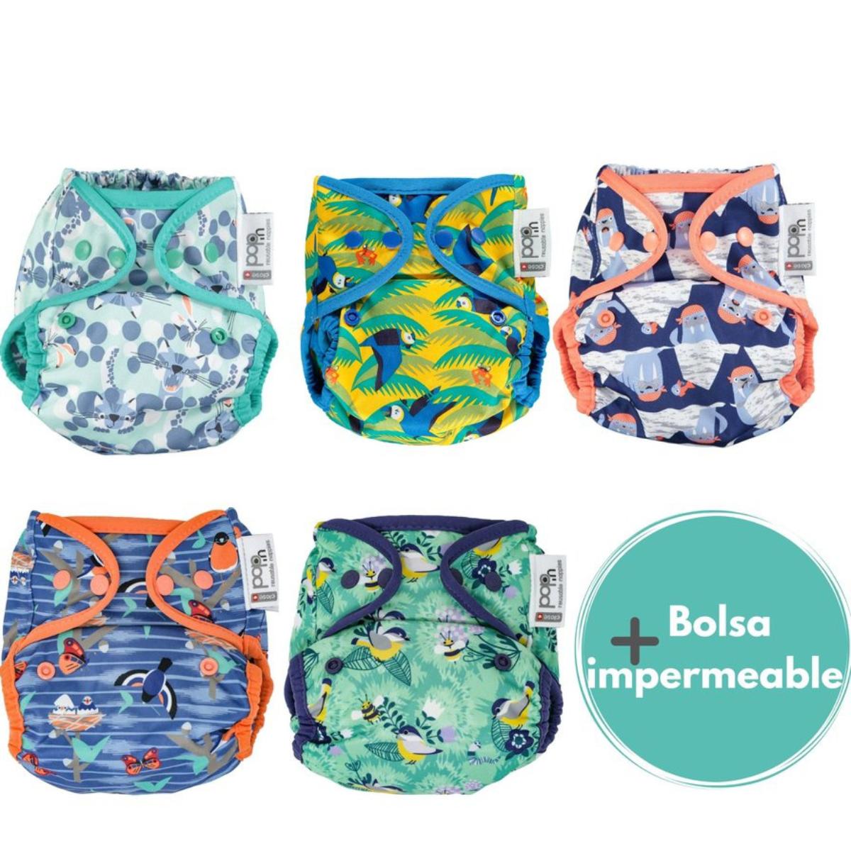 Pack 5 Pop-in Corchetes