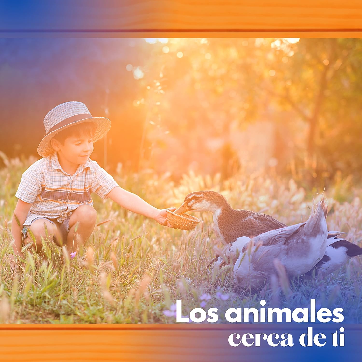 Caseta De Madera Para Patos - Nido Para Patos Pequeño_4