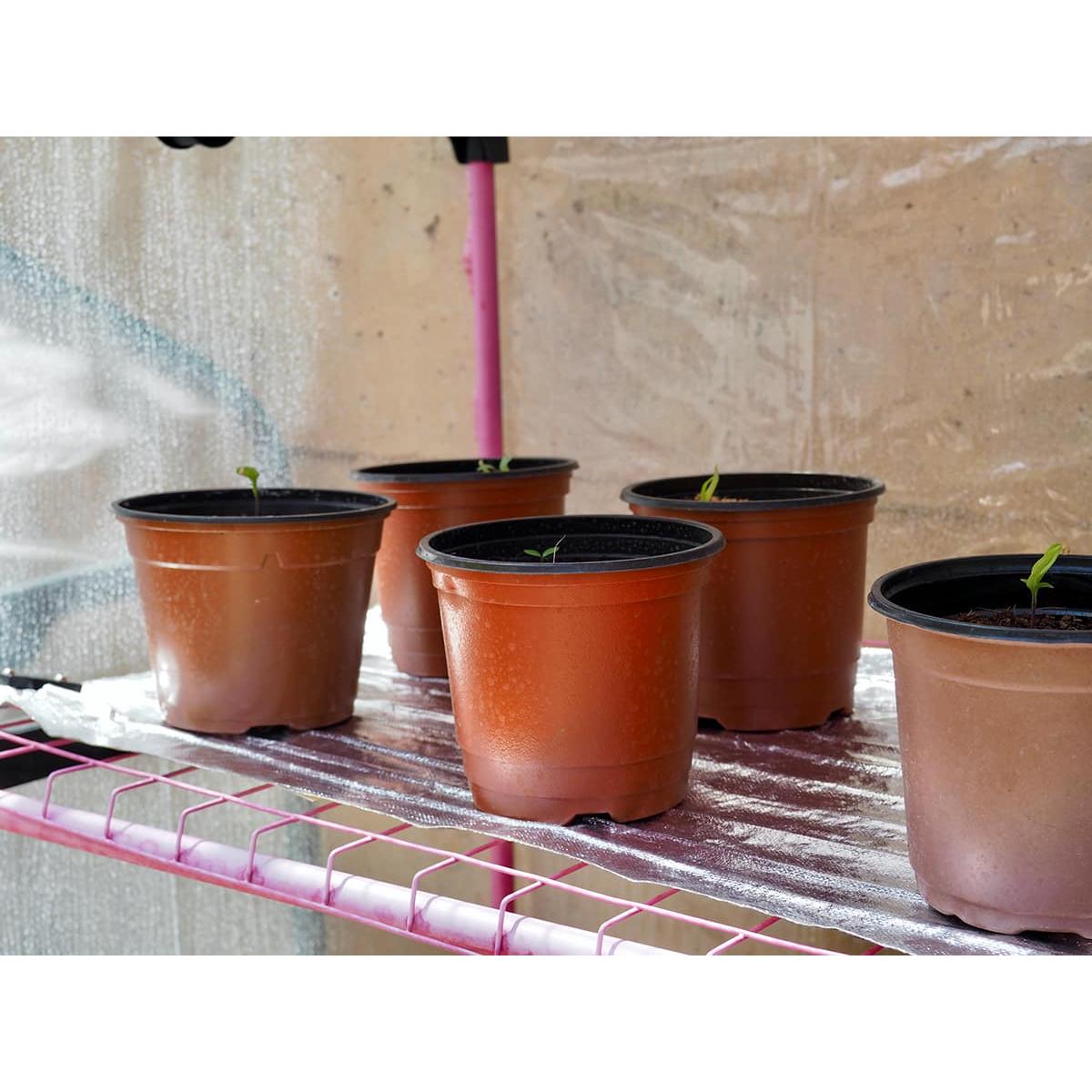 Manta calefactora 33x65cm 50w