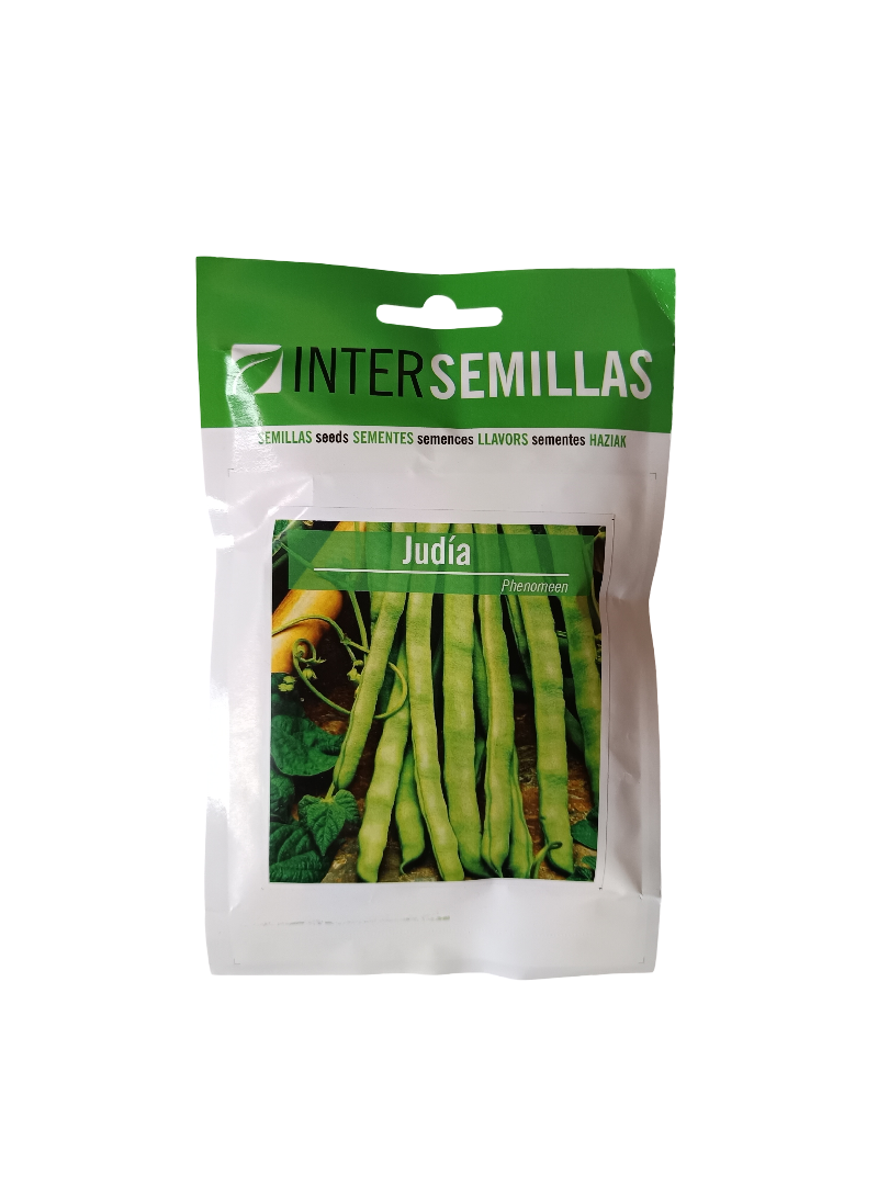 Semillas De Judia Variedad Phenomeen 100 Gr._0