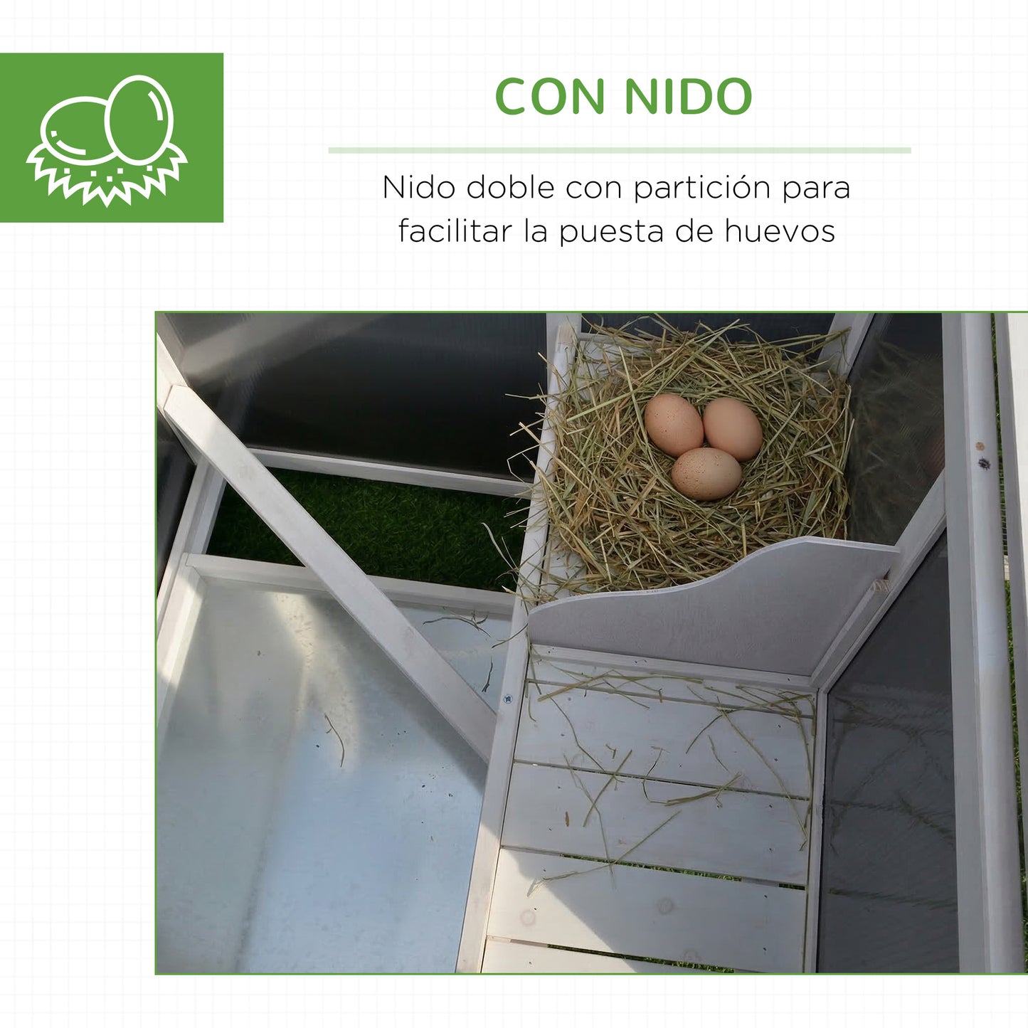 Pawhut Gallinero Exterior De Madera Bandeja Extraíble Y Techo Abatible 160x75x80_5