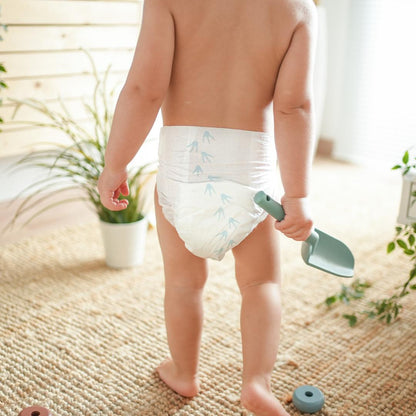 Pack Ahorro Pañales T6 XL (15-30kg) Pingo 64 unidades 64 undidades