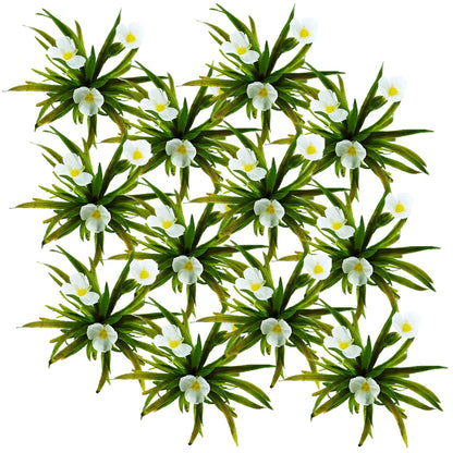 Estratiote Stratiotes Aloides Estanque - 12 Uds Planta Oxigenante Flotante_0