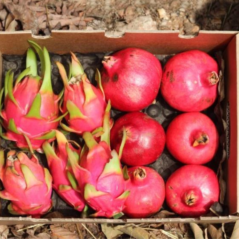 Pack 4kg Pitahaya (fruta Del Dragón) Y Granadas_3
