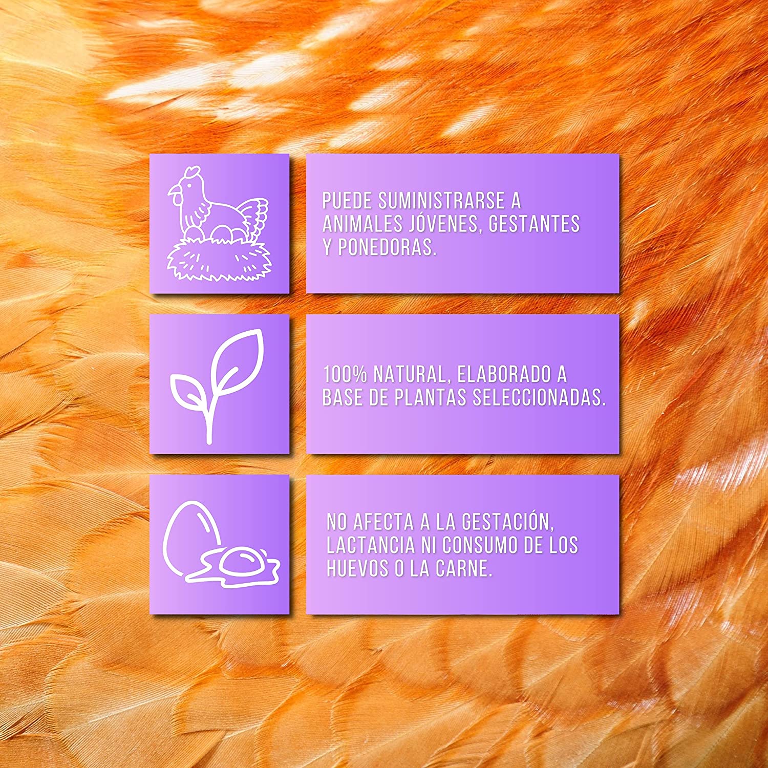 SoluDetox – Complemento nutricional para aves de corral y conejos – Apoyo hepático y nutricional – Formato 250 ml_1