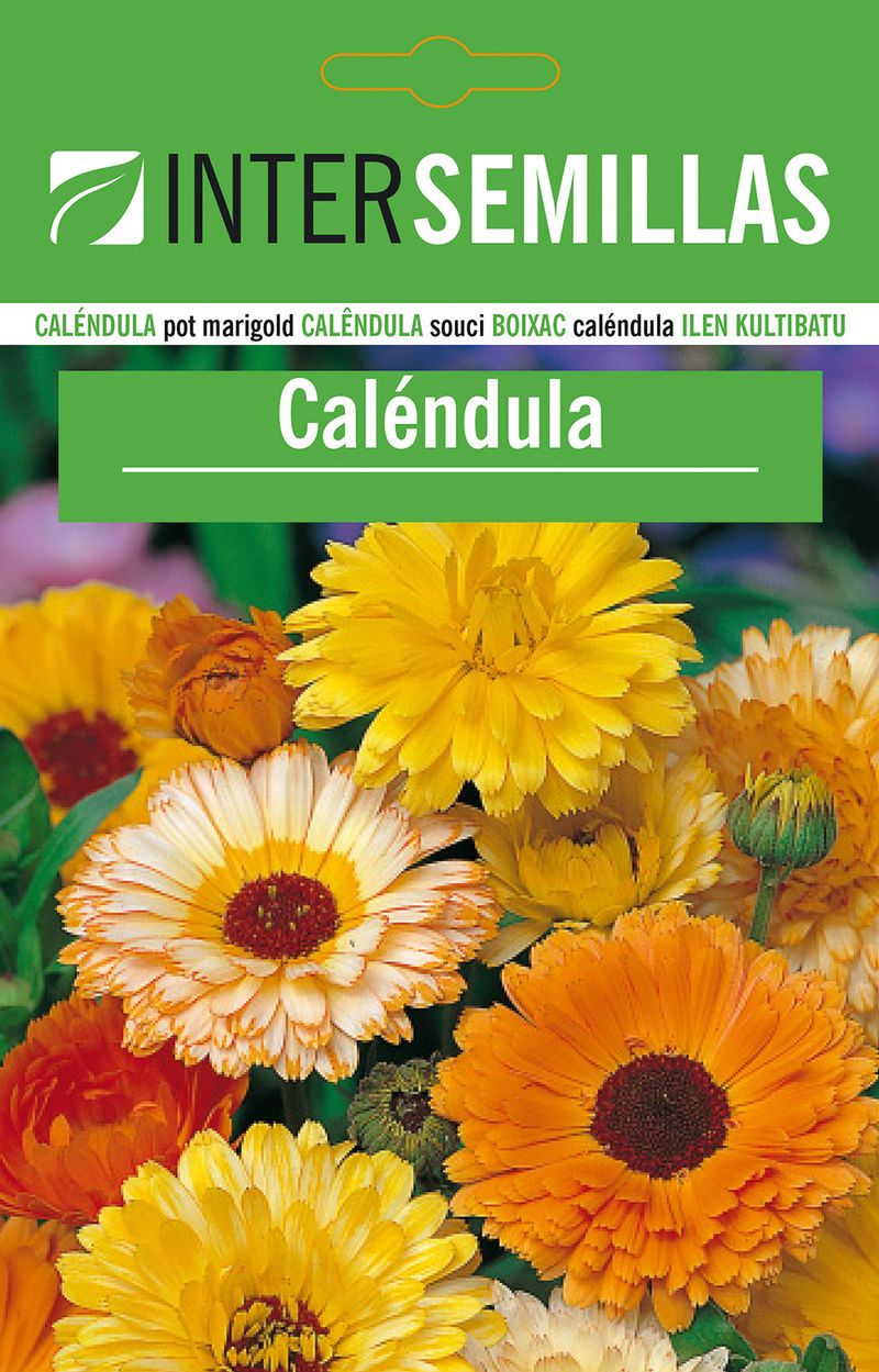 Sobre De Semillas De Calendula_0
