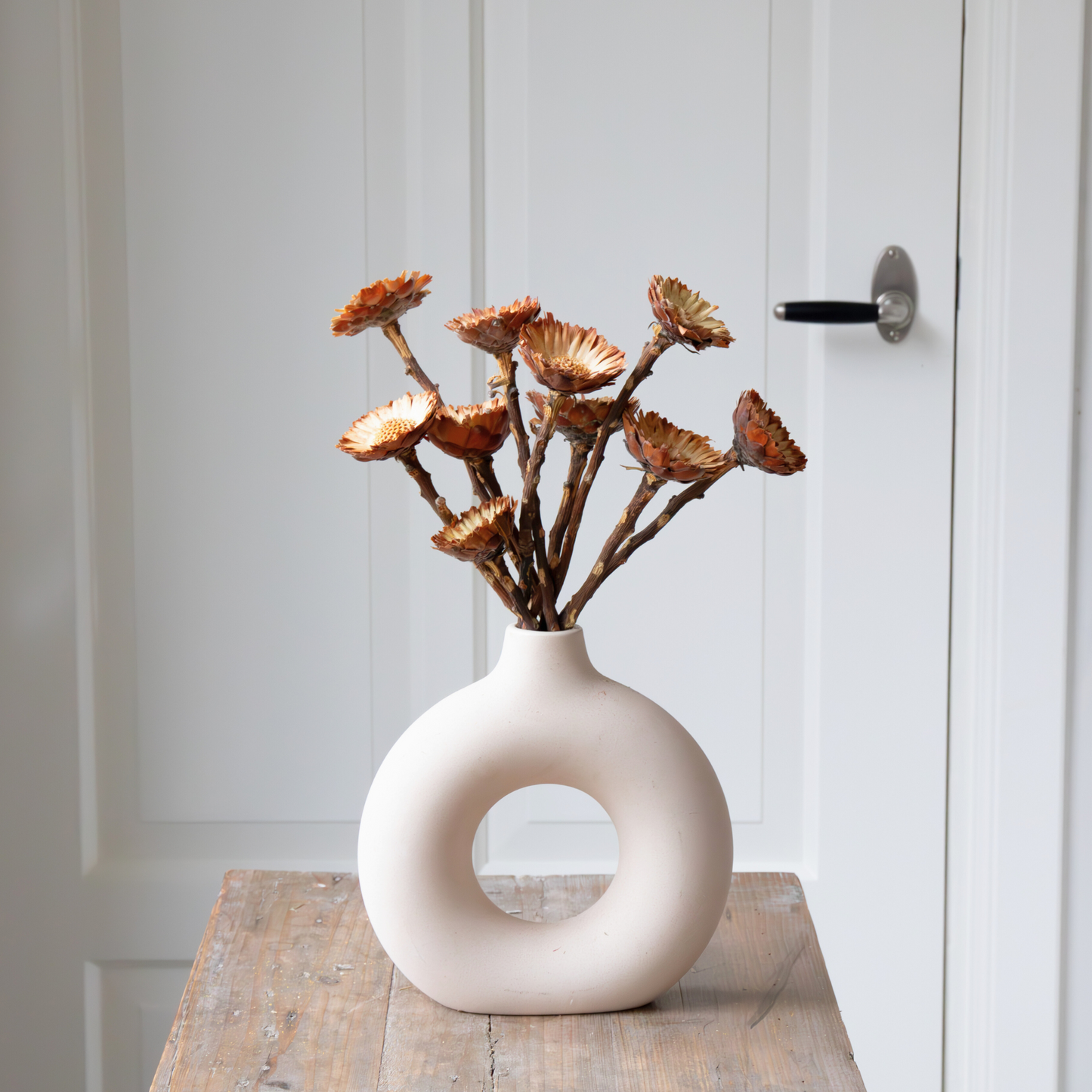 Flores Secas - 10 Pzs - Ramo 'protea Compacta'