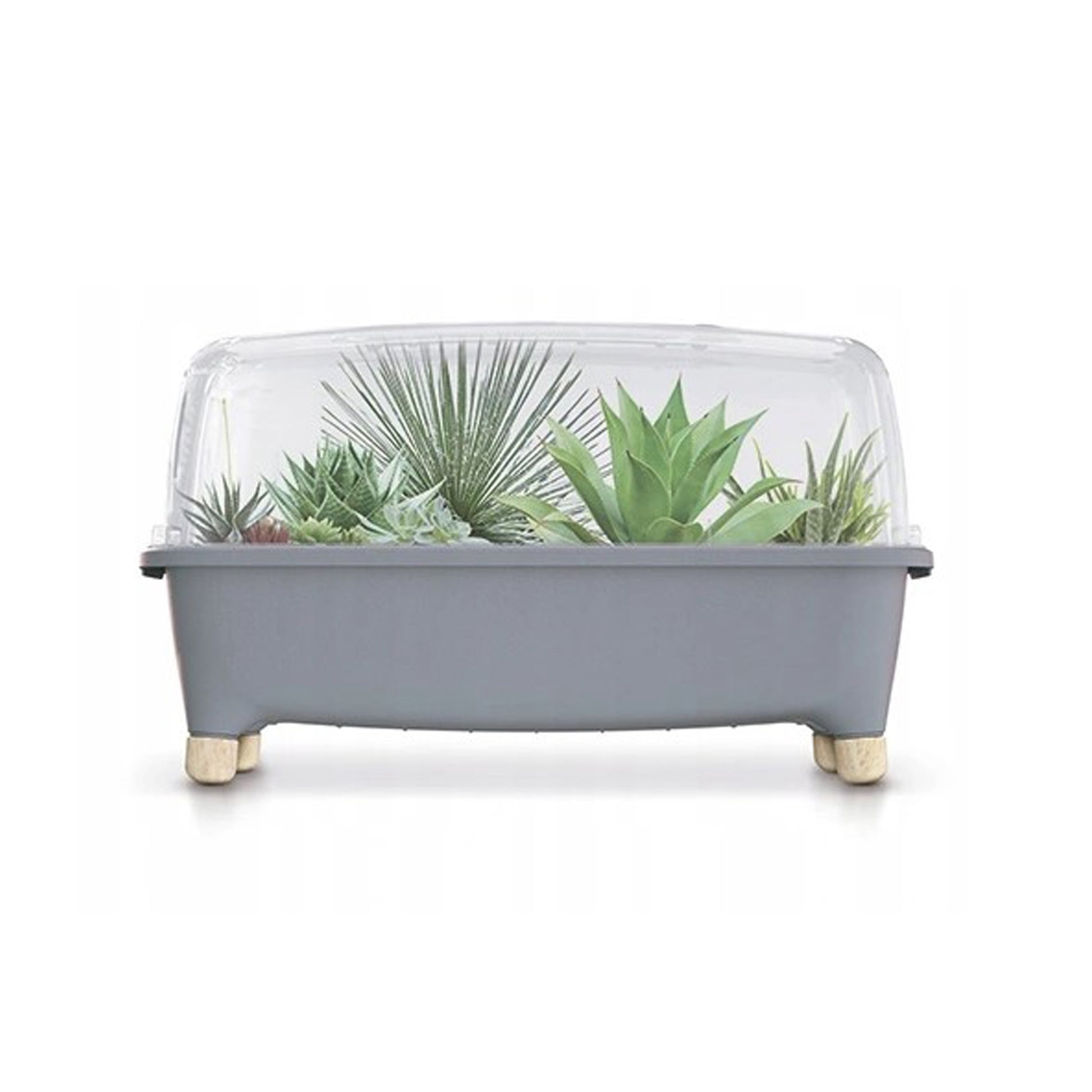 Huerto Domestico/jardinera Baja, Con Tapa De Policarbonato Para Proteger Tus Plantas L Prosperplast Respana Planter Wood Low Set De Plástico_3