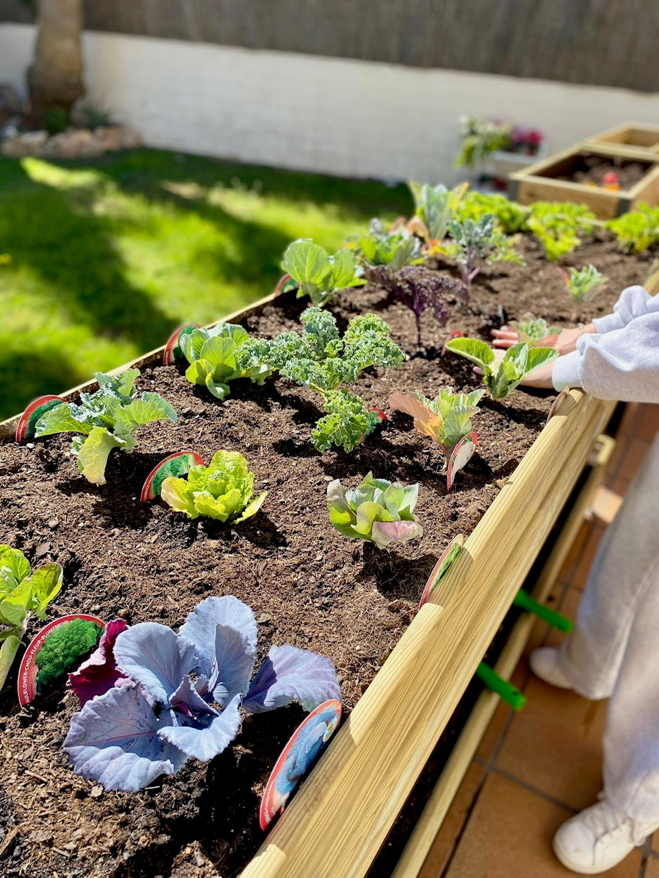 Mi Huerto Urban Jardinera Elevada Madera Con Bandeja Recoge Aguas | Estructura Metálica | Verde | 90x40x26cm_4