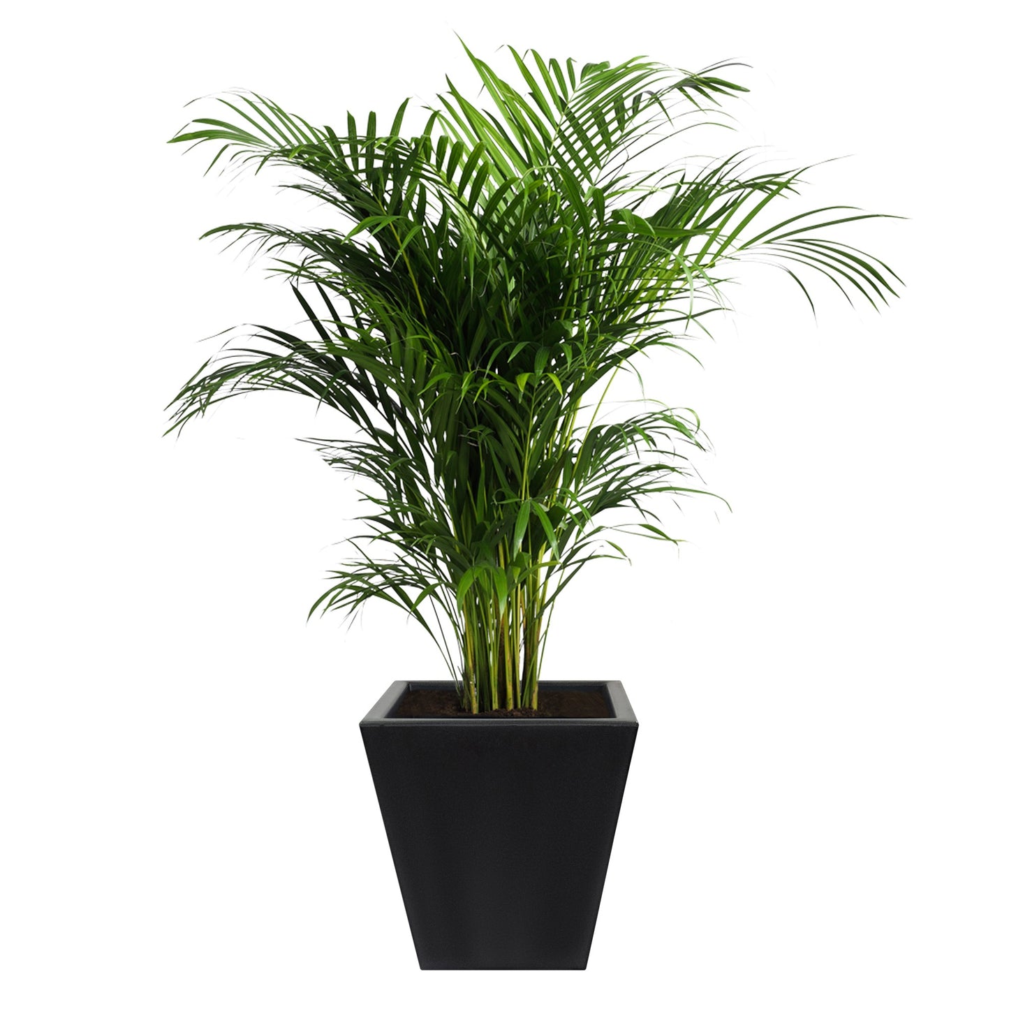 Macetero De Polietileno Por Rotomoldeo Color Antracita 40x40 Cm_2