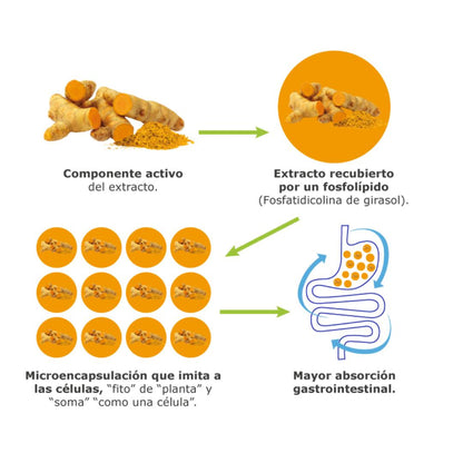 Curcufit 100% Natural 90 cápsulas