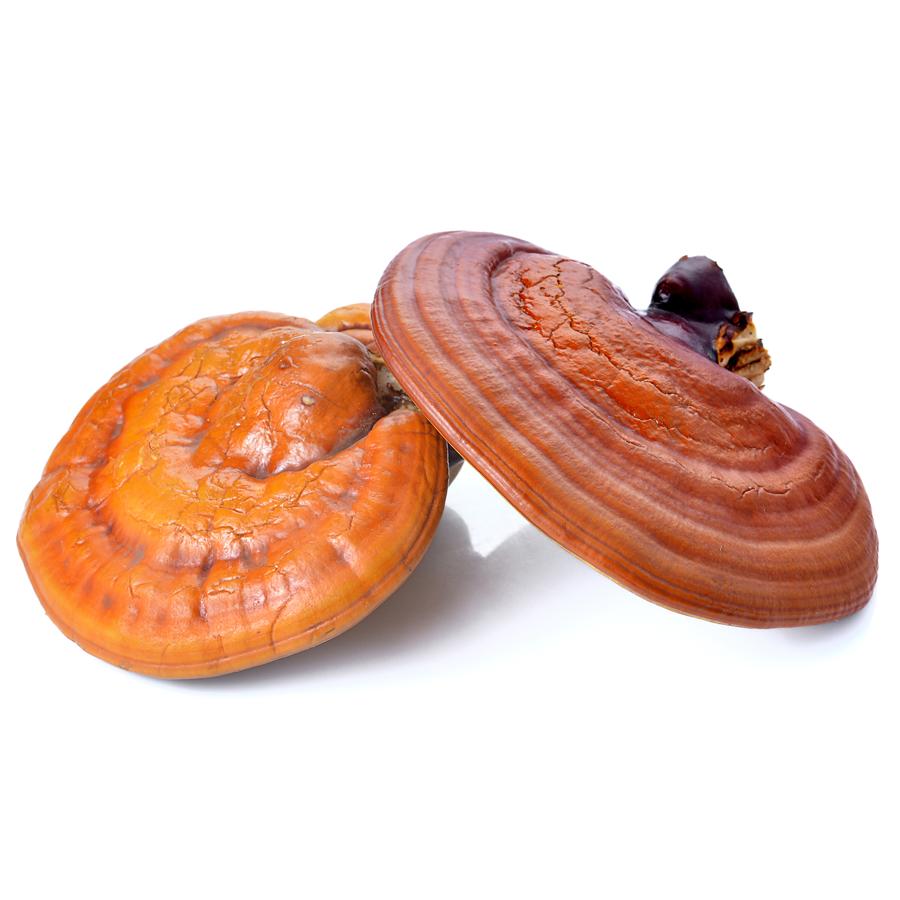 Reishi El Granero 60 cápsulas, 530mg