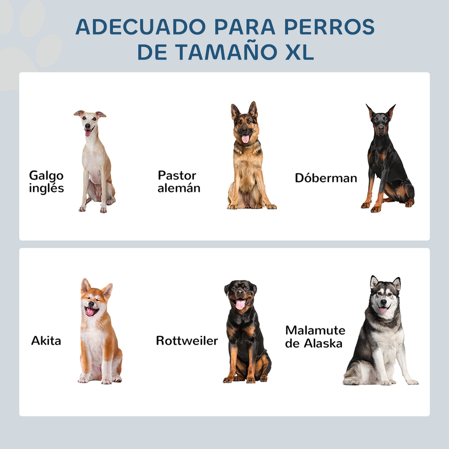 Pawhut Comedero Elevado Para Perros Con 2 Cuencos De Acero Inoxidable Gris_3