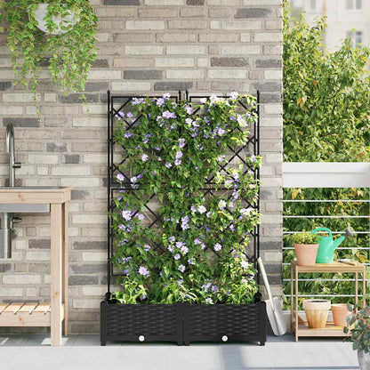 Vidaxl Maceta De Jardín Con Enrejado 2 Pcs Negro 80 X 40 X 125.5 Cm Pp_1
