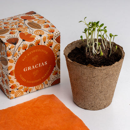 Díselo Con Flores Gracias | Kit Autocultivo Flores Silvestres Naranjas (caléndula, Pimpinela Escarlata Y Clavel Moro)_3
