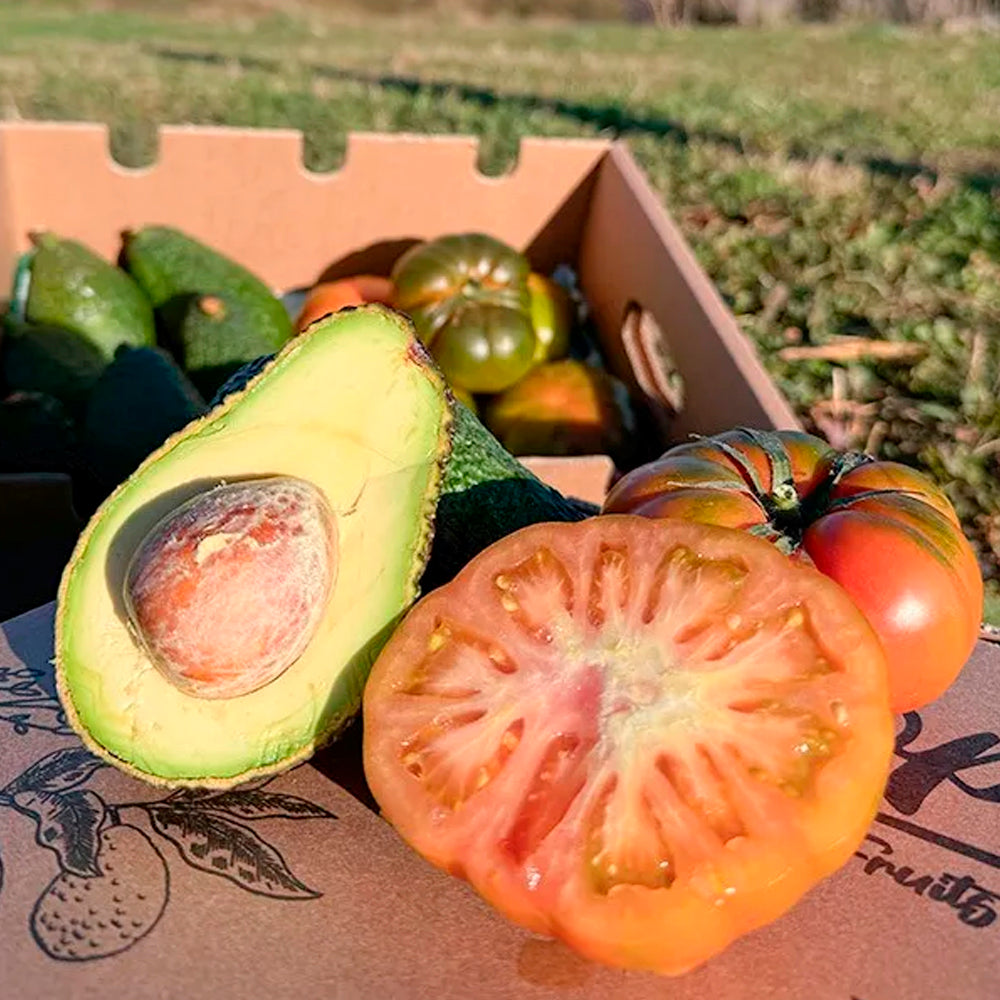 Caja 4kg Pack Aguacates Y tomates Raf Del Campo Tropitop_2