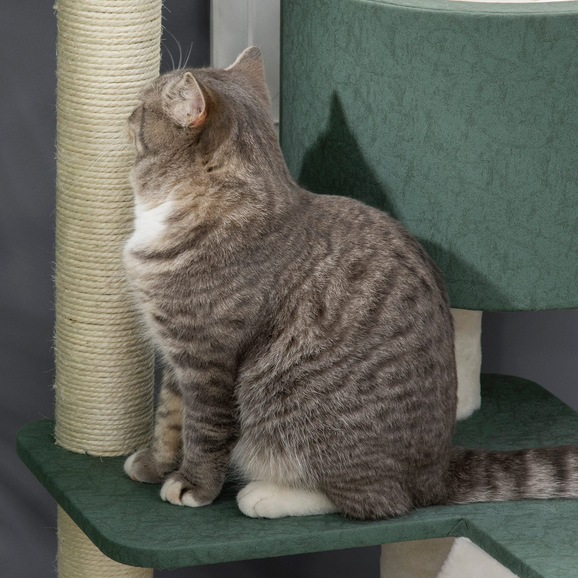 Pawhut Árbol Rascador Para Gatos Altura 114cm Con 2 Camas Cueva Plataforma Bolas_4