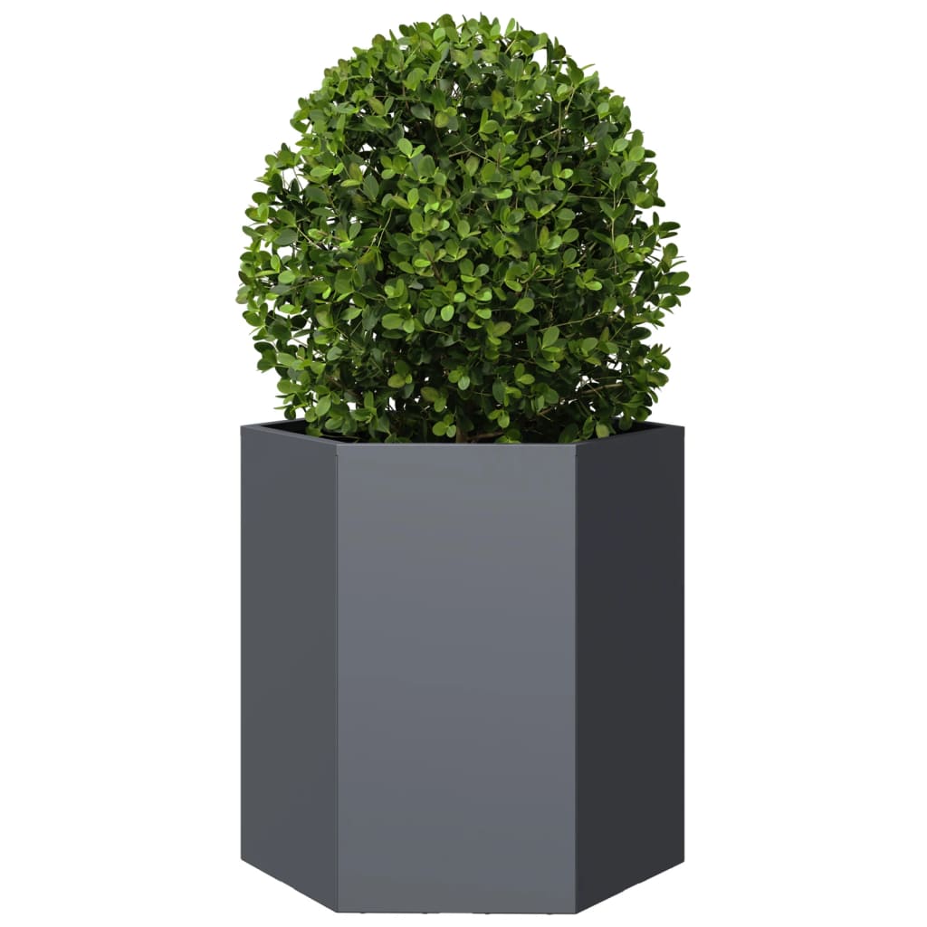 Jardinera Hexagonal Acero Gris Antracita 46x40x45 Cm_2